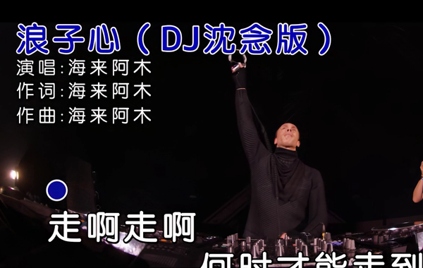 海来阿木-浪子心