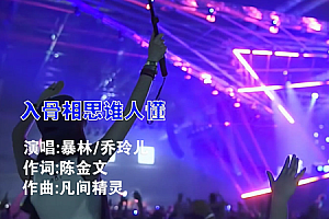 入骨相思谁人懂-暴林  乔玲儿