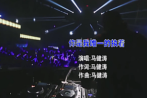 你是我唯一的执着-马健涛