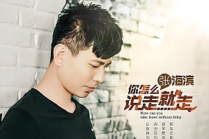 你怎么说走就走 – 张海滨-伴奏