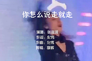 你怎么说走就走 – 张海滨