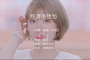 烈酒浇忧愁 – 鹏鹏  丰硕