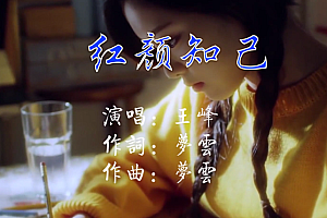 红颜知己 -王峰