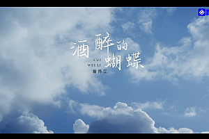 酒醉的蝴蝶-崔伟立