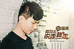 你怎么说走就走 – 张海滨- 伴奏