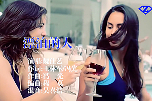 漂泊的人 – 魏佳艺