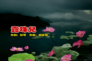 露珠儿- 韩宝仪