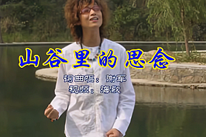 谢军-山谷里的思念