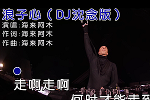 海来阿木-浪子心